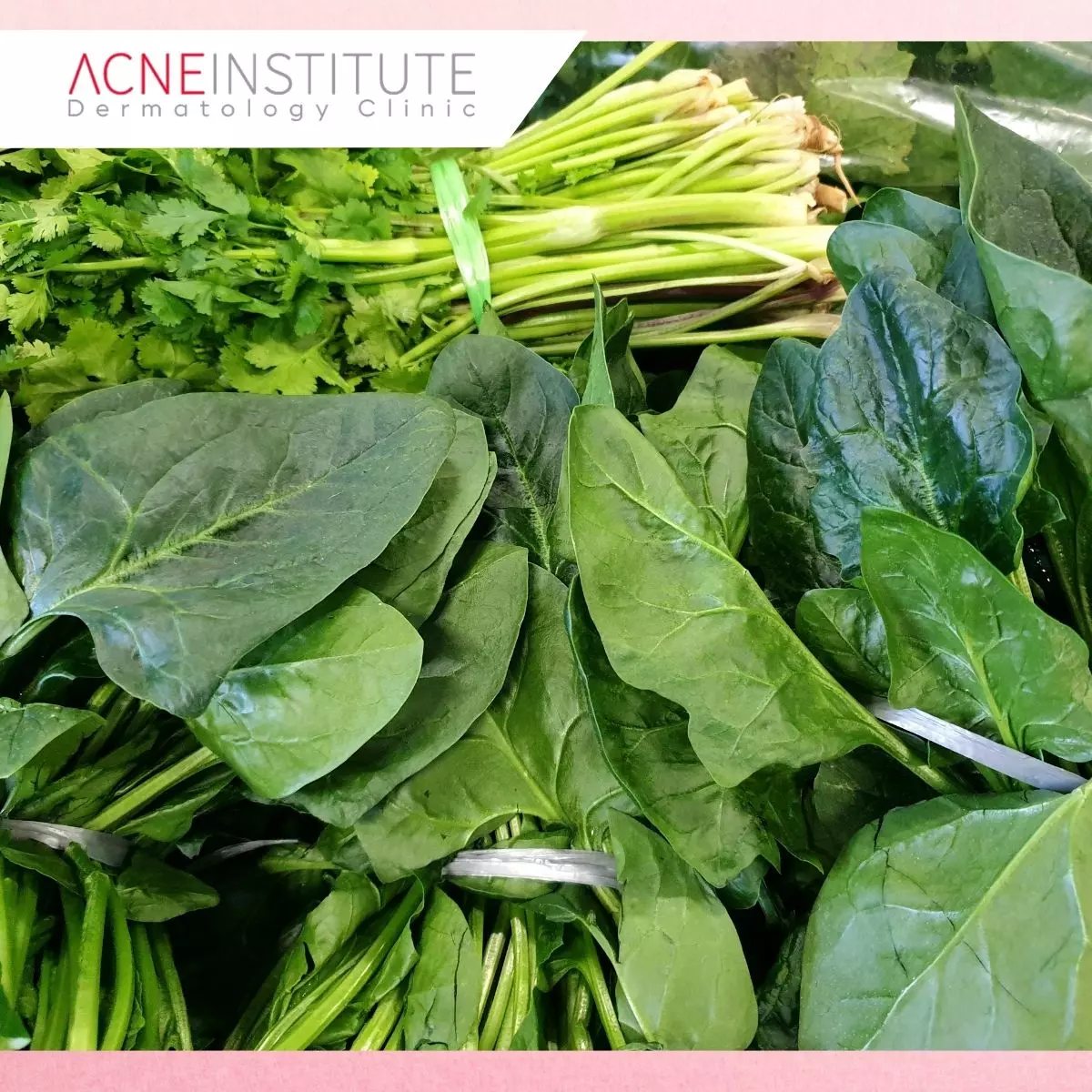 2. Sayuran Hijau, Sumber Vitamin dan Antioksidan